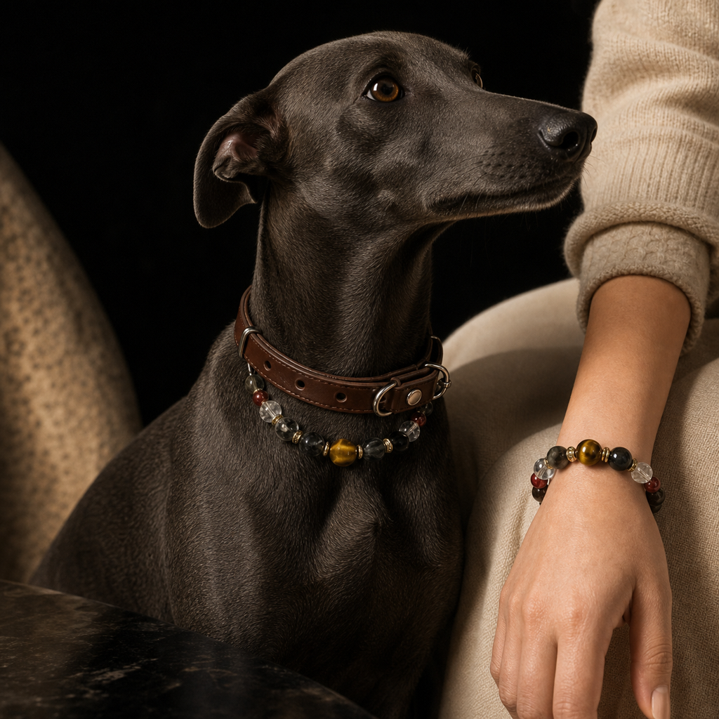 BARYON Still Signal relationship campaign image with companion collar and matching human bracelet