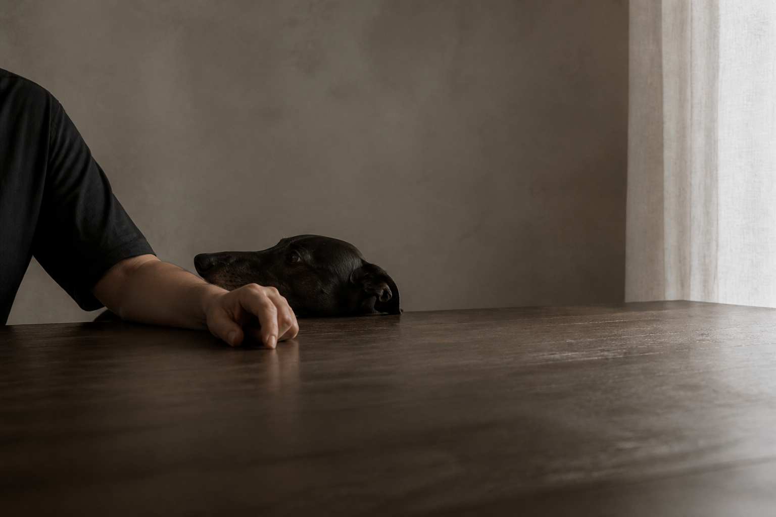 An everyday moment shared with a companion